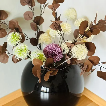 Haus Hasenland * Siptenfelde